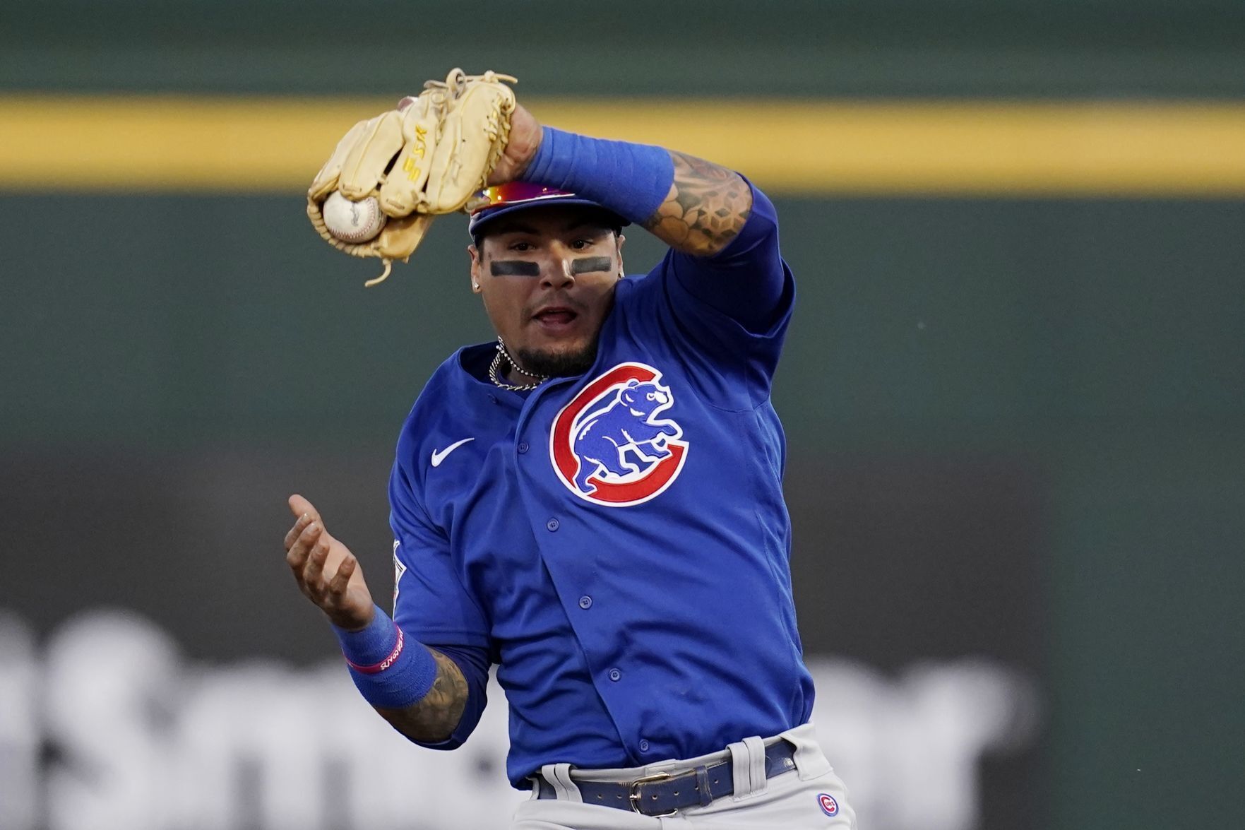 Cubs Reds Spring Baseball